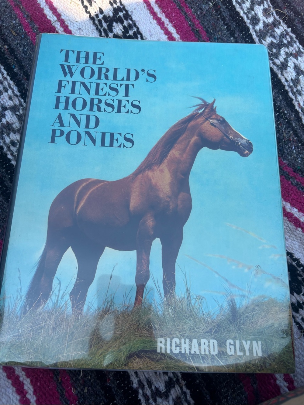 The World's Finest Horses and Ponies by Richard Glyn - Brown Horse Cover